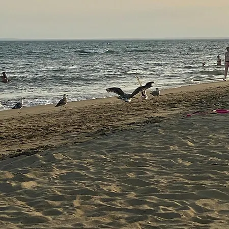Sol Y Mar Апартаменты